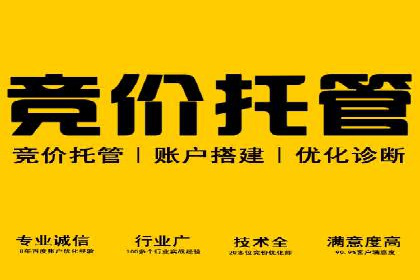 案例解析：网络推广竞价如何助力企业快速发展
